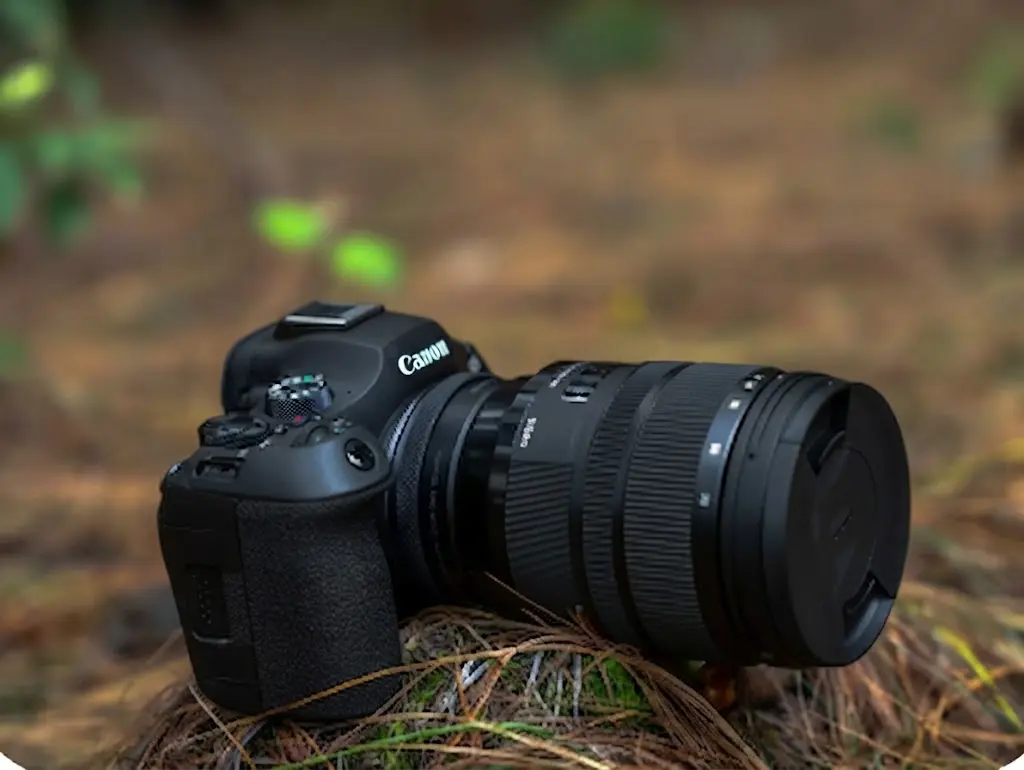 Canon EOS R6 Mark III Evaluación de la estabilización en el cuerpo (IBIS