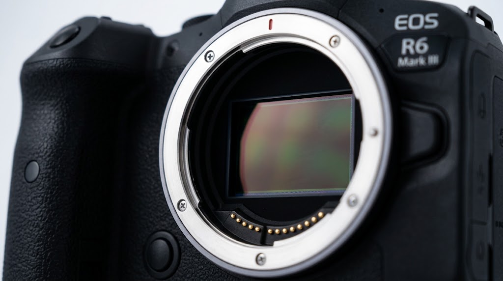 Canon EOS R6 Mark III cuerpo